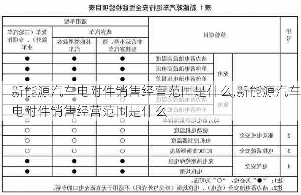 新能源汽车电附件销售经营范围是什么,新能源汽车电附件销售经营范围是什么-第1张图片-苏希特新能源