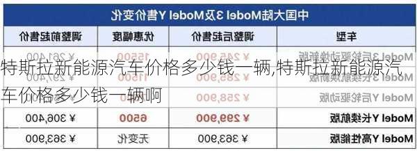 特斯拉新能源汽车价格多少钱一辆,特斯拉新能源汽车价格多少钱一辆啊-第3张图片-苏希特新能源