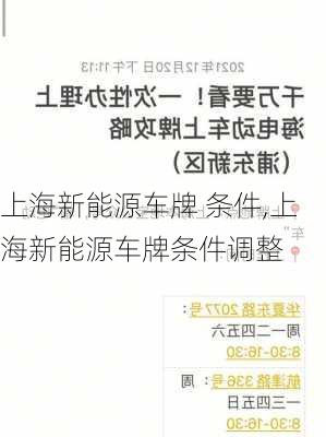 上海新能源车牌 条件,上海新能源车牌条件调整-第3张图片-苏希特新能源