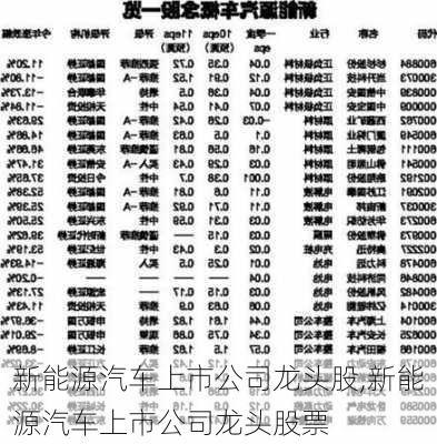 新能源汽车上市公司龙头股,新能源汽车上市公司龙头股票-第2张图片-苏希特新能源