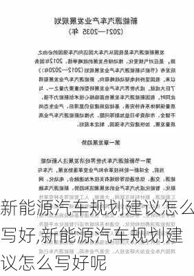 新能源汽车规划建议怎么写好,新能源汽车规划建议怎么写好呢-第2张图片-苏希特新能源