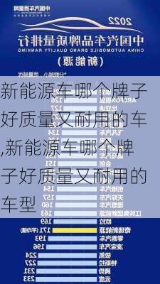 新能源车哪个牌子好质量又耐用的车,新能源车哪个牌子好质量又耐用的车型-第1张图片-苏希特新能源