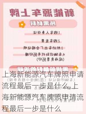 上海新能源汽车牌照申请流程最后一步是什么,上海新能源汽车牌照申请流程最后一步是什么-第3张图片-苏希特新能源