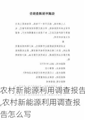 农村新能源利用调查报告,农村新能源利用调查报告怎么写-第3张图片-苏希特新能源