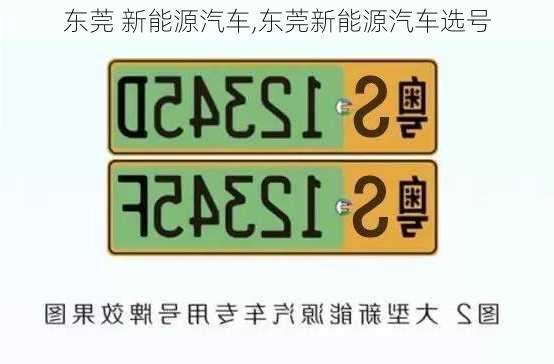 东莞 新能源汽车,东莞新能源汽车选号