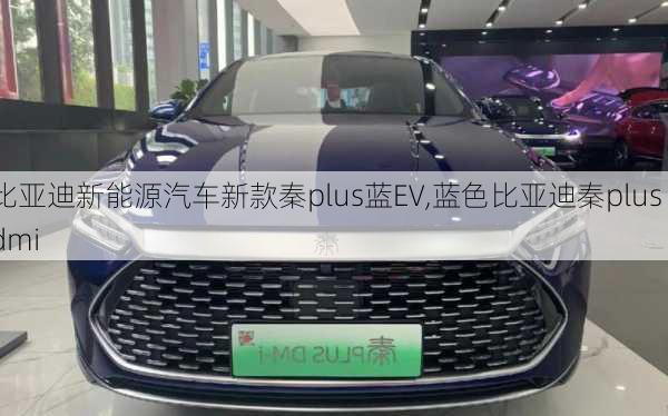 比亚迪新能源汽车新款秦plus蓝EV,蓝色比亚迪秦plus dmi-第1张图片-苏希特新能源