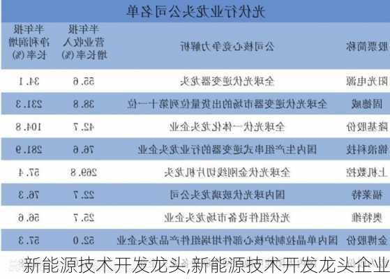 新能源技术开发龙头,新能源技术开发龙头企业-第2张图片-苏希特新能源