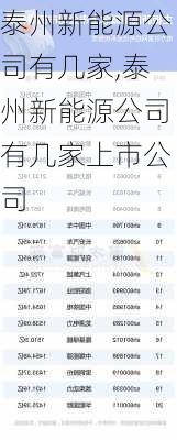 泰州新能源公司有几家,泰州新能源公司有几家上市公司-第2张图片-苏希特新能源