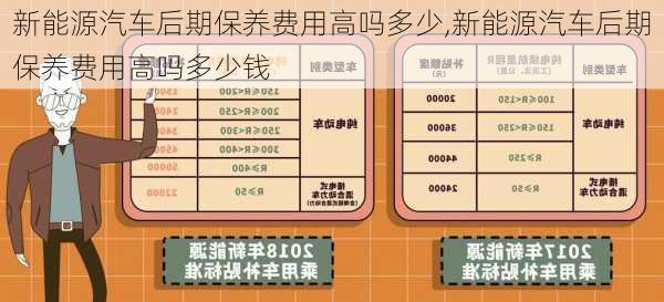 新能源汽车后期保养费用高吗多少,新能源汽车后期保养费用高吗多少钱-第1张图片-苏希特新能源