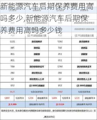 新能源汽车后期保养费用高吗多少,新能源汽车后期保养费用高吗多少钱-第2张图片-苏希特新能源