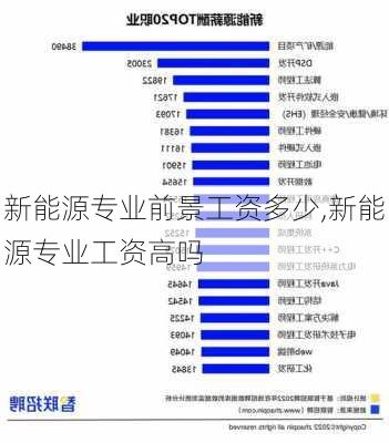 新能源专业前景工资多少,新能源专业工资高吗-第3张图片-苏希特新能源