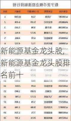 新能源基金龙头股,新能源基金龙头股排名前十-第2张图片-苏希特新能源