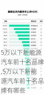 5万以下新能源汽车前十名品牌,5万以下新能源汽车前十名品牌有哪些-第3张图片-苏希特新能源