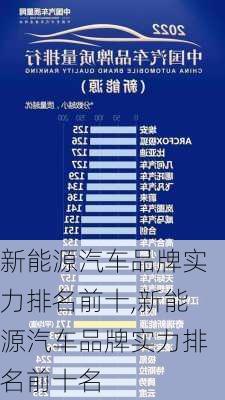 新能源汽车品牌实力排名前十,新能源汽车品牌实力排名前十名-第3张图片-苏希特新能源