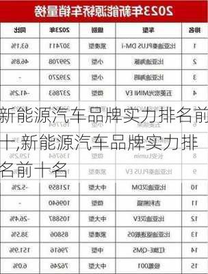 新能源汽车品牌实力排名前十,新能源汽车品牌实力排名前十名-第2张图片-苏希特新能源