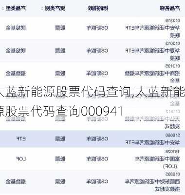 太蓝新能源股票代码查询,太蓝新能源股票代码查询000941-第2张图片-苏希特新能源