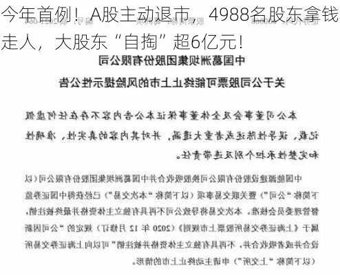 今年首例！A股主动退市，4988名股东拿钱走人，大股东“自掏”超6亿元！-第3张图片-苏希特新能源