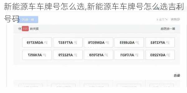 新能源车车牌号怎么选,新能源车车牌号怎么选吉利号码-第2张图片-苏希特新能源