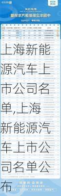 上海新能源汽车上市公司名单,上海新能源汽车上市公司名单公布-第2张图片-苏希特新能源