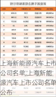 上海新能源汽车上市公司名单,上海新能源汽车上市公司名单公布-第1张图片-苏希特新能源