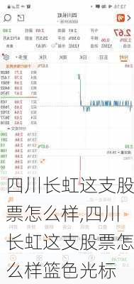 四川长虹这支股票怎么样,四川长虹这支股票怎么样篮色光标-第1张图片-苏希特新能源