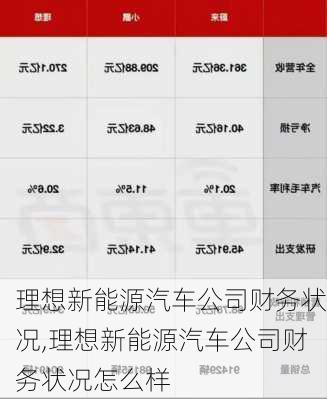 理想新能源汽车公司财务状况,理想新能源汽车公司财务状况怎么样