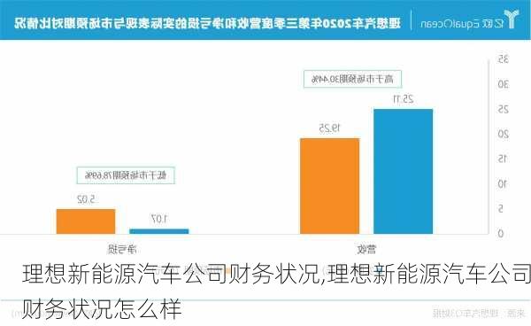 理想新能源汽车公司财务状况,理想新能源汽车公司财务状况怎么样-第3张图片-苏希特新能源