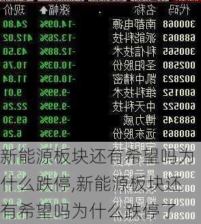 新能源板块还有希望吗为什么跌停,新能源板块还有希望吗为什么跌停了-第1张图片-苏希特新能源