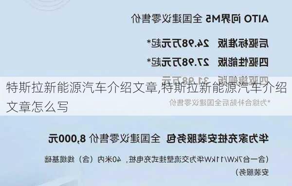 特斯拉新能源汽车介绍文章,特斯拉新能源汽车介绍文章怎么写-第3张图片-苏希特新能源