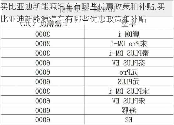 买比亚迪新能源汽车有哪些优惠政策和补贴,买比亚迪新能源汽车有哪些优惠政策和补贴