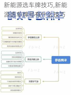 新能源选车牌技巧,新能源选车牌号有什么技巧-第1张图片-苏希特新能源