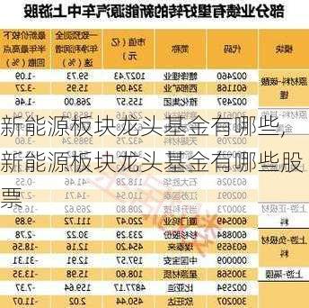 新能源板块龙头基金有哪些,新能源板块龙头基金有哪些股票-第2张图片-苏希特新能源