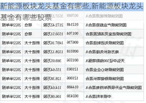 新能源板块龙头基金有哪些,新能源板块龙头基金有哪些股票-第1张图片-苏希特新能源