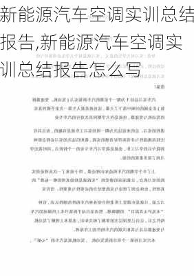 新能源汽车空调实训总结报告,新能源汽车空调实训总结报告怎么写-第2张图片-苏希特新能源