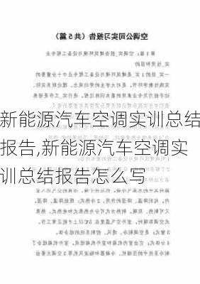 新能源汽车空调实训总结报告,新能源汽车空调实训总结报告怎么写-第1张图片-苏希特新能源