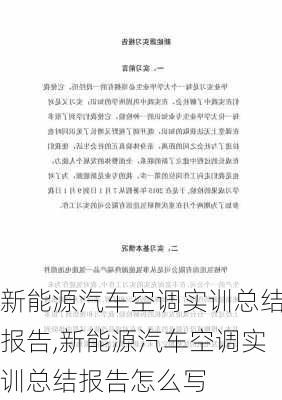 新能源汽车空调实训总结报告,新能源汽车空调实训总结报告怎么写-第3张图片-苏希特新能源