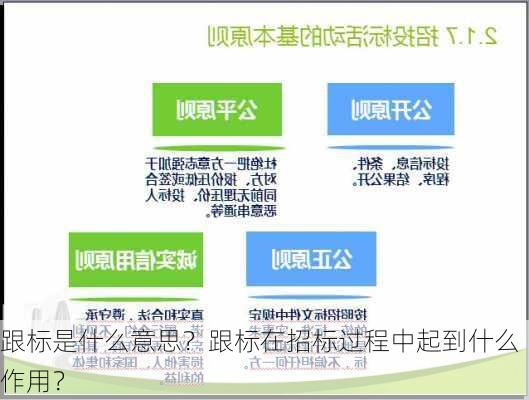 跟标是什么意思？跟标在招标过程中起到什么作用？-第1张图片-苏希特新能源