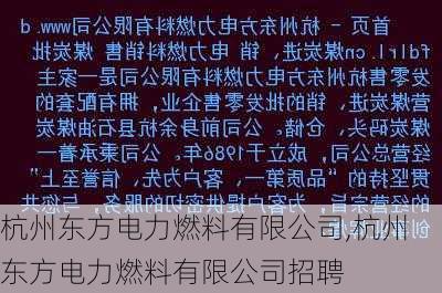 杭州东方电力燃料有限公司,杭州东方电力燃料有限公司招聘