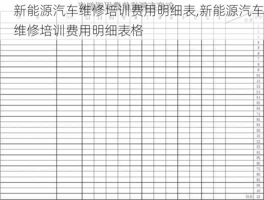 新能源汽车维修培训费用明细表,新能源汽车维修培训费用明细表格-第1张图片-苏希特新能源