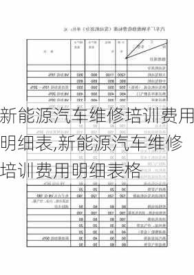 新能源汽车维修培训费用明细表,新能源汽车维修培训费用明细表格-第3张图片-苏希特新能源