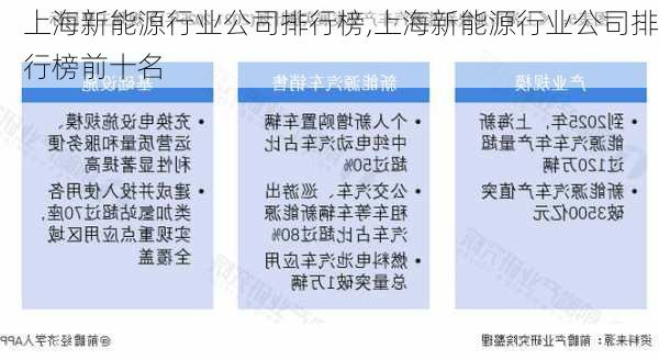 上海新能源行业公司排行榜,上海新能源行业公司排行榜前十名-第1张图片-苏希特新能源