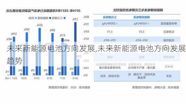 未来新能源电池方向发展,未来新能源电池方向发展趋势-第3张图片-苏希特新能源