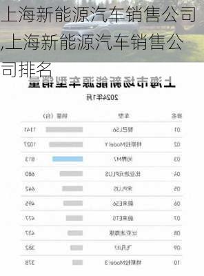 上海新能源汽车销售公司,上海新能源汽车销售公司排名-第2张图片-苏希特新能源