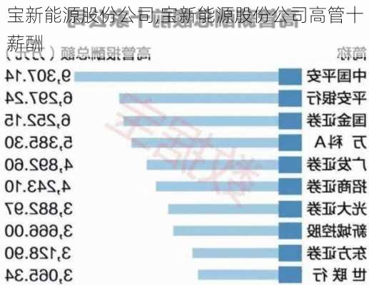 宝新能源股份公司,宝新能源股份公司高管十薪酬-第2张图片-苏希特新能源