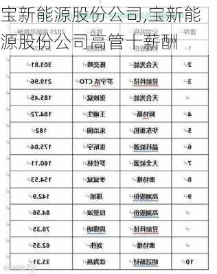 宝新能源股份公司,宝新能源股份公司高管十薪酬-第3张图片-苏希特新能源