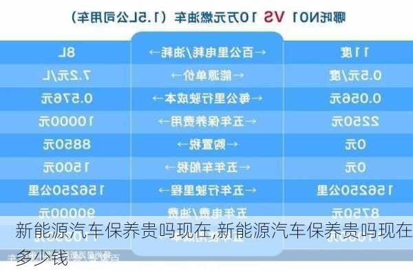 新能源汽车保养贵吗现在,新能源汽车保养贵吗现在多少钱-第3张图片-苏希特新能源