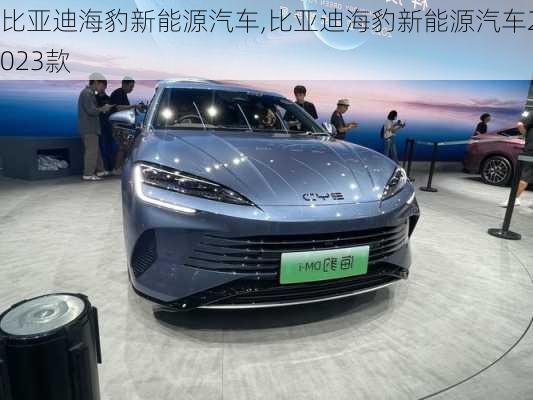 比亚迪海豹新能源汽车,比亚迪海豹新能源汽车2023款-第3张图片-苏希特新能源