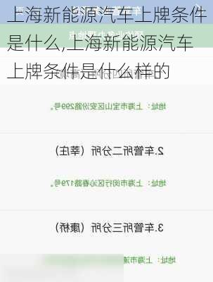 上海新能源汽车上牌条件是什么,上海新能源汽车上牌条件是什么样的-第1张图片-苏希特新能源