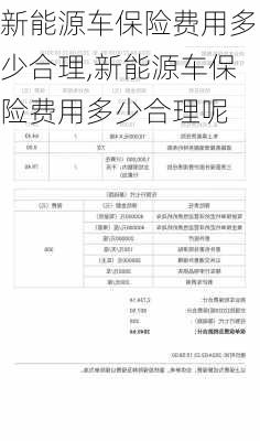 新能源车保险费用多少合理,新能源车保险费用多少合理呢-第1张图片-苏希特新能源