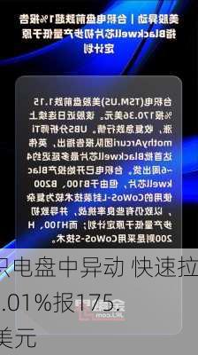 台积电盘中异动 快速拉升5.01%报175.66美元-第3张图片-苏希特新能源